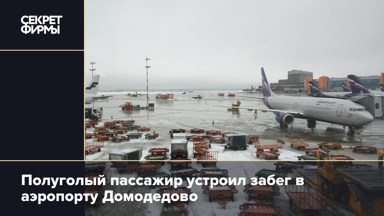 Полуголый пассажир устроил забег в аэропорту Домодедово — Секрет фирмы