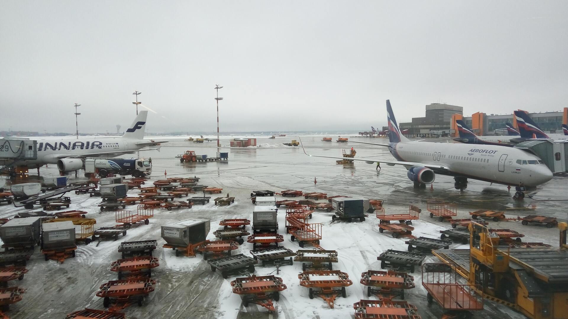 Полуголый пассажир устроил забег в аэропорту Домодедово