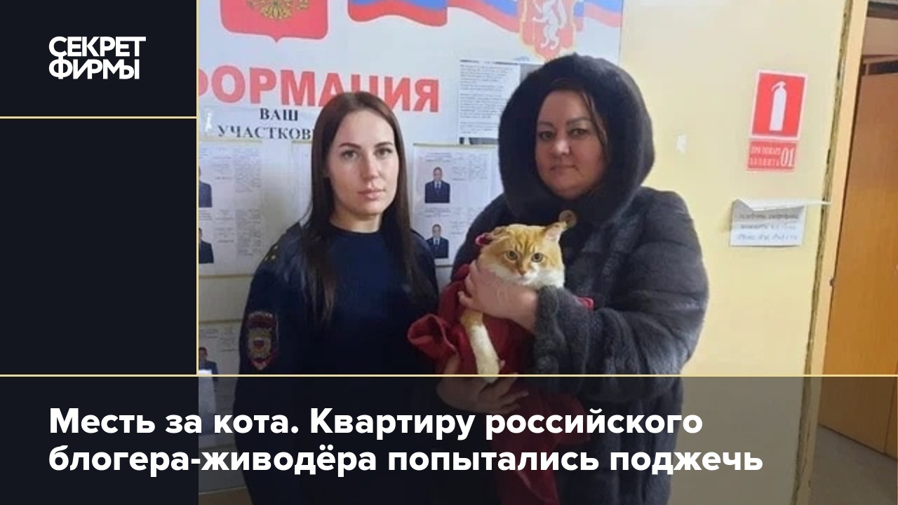 Месть за кота. Квартиру российского блогера-живодёра попытались поджечь —  Секрет фирмы