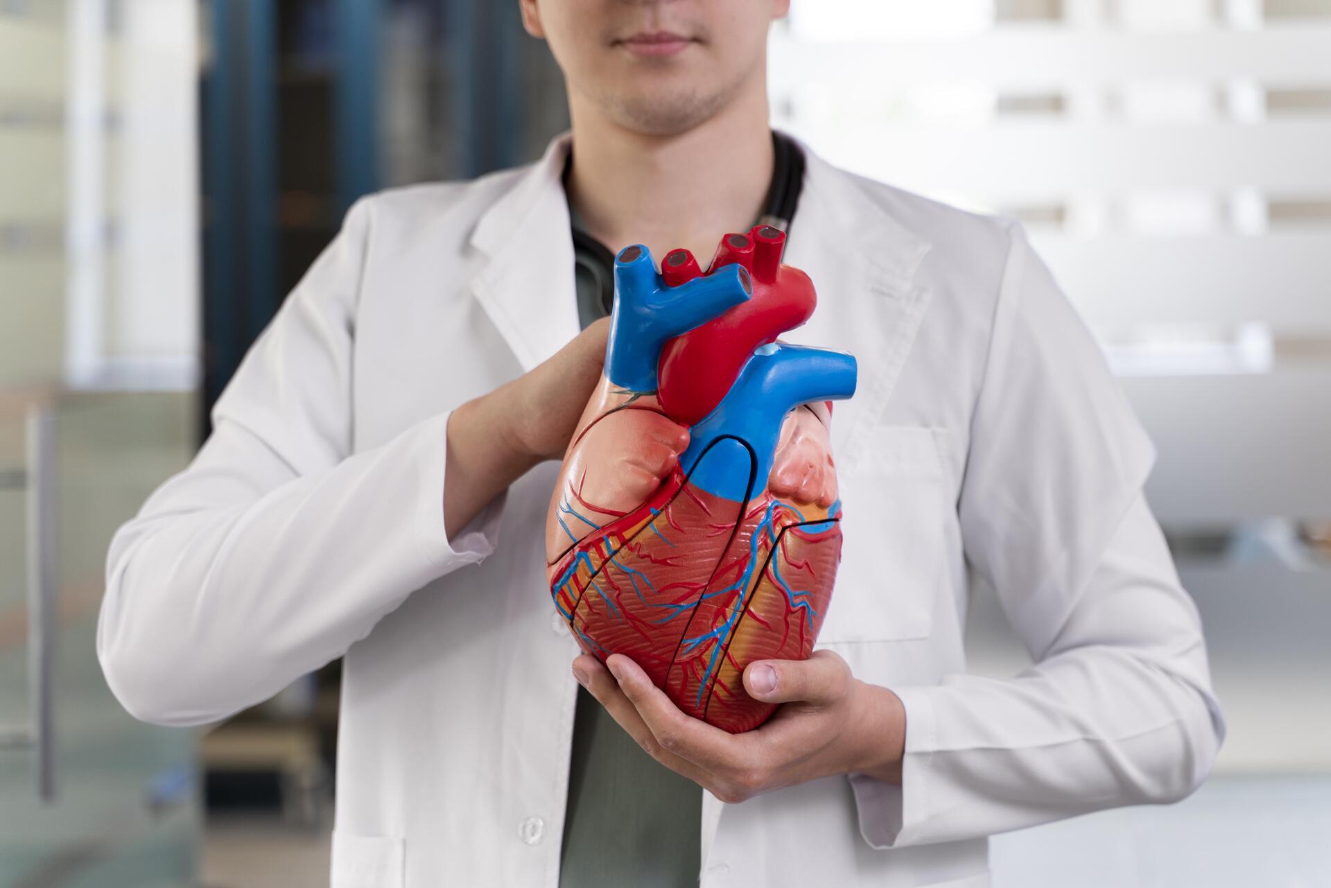 Хирург Шабанов перечислил смертельно опасные для человека типы аритмии сердца