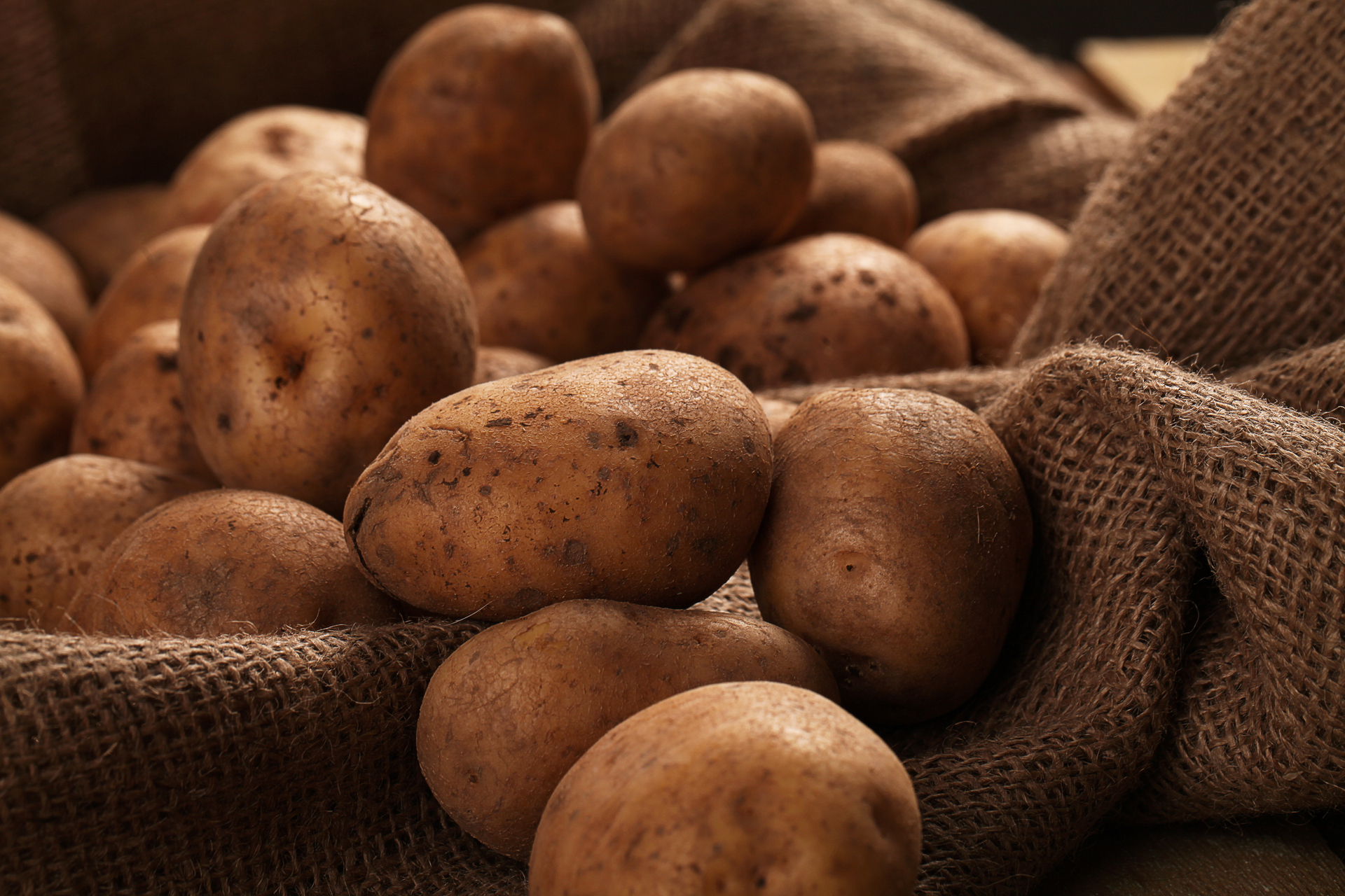 Mash: в Приморье фермер выбросил из фуры на дорогу 27 тонн картофеля из-за отсутствия грузчиков
