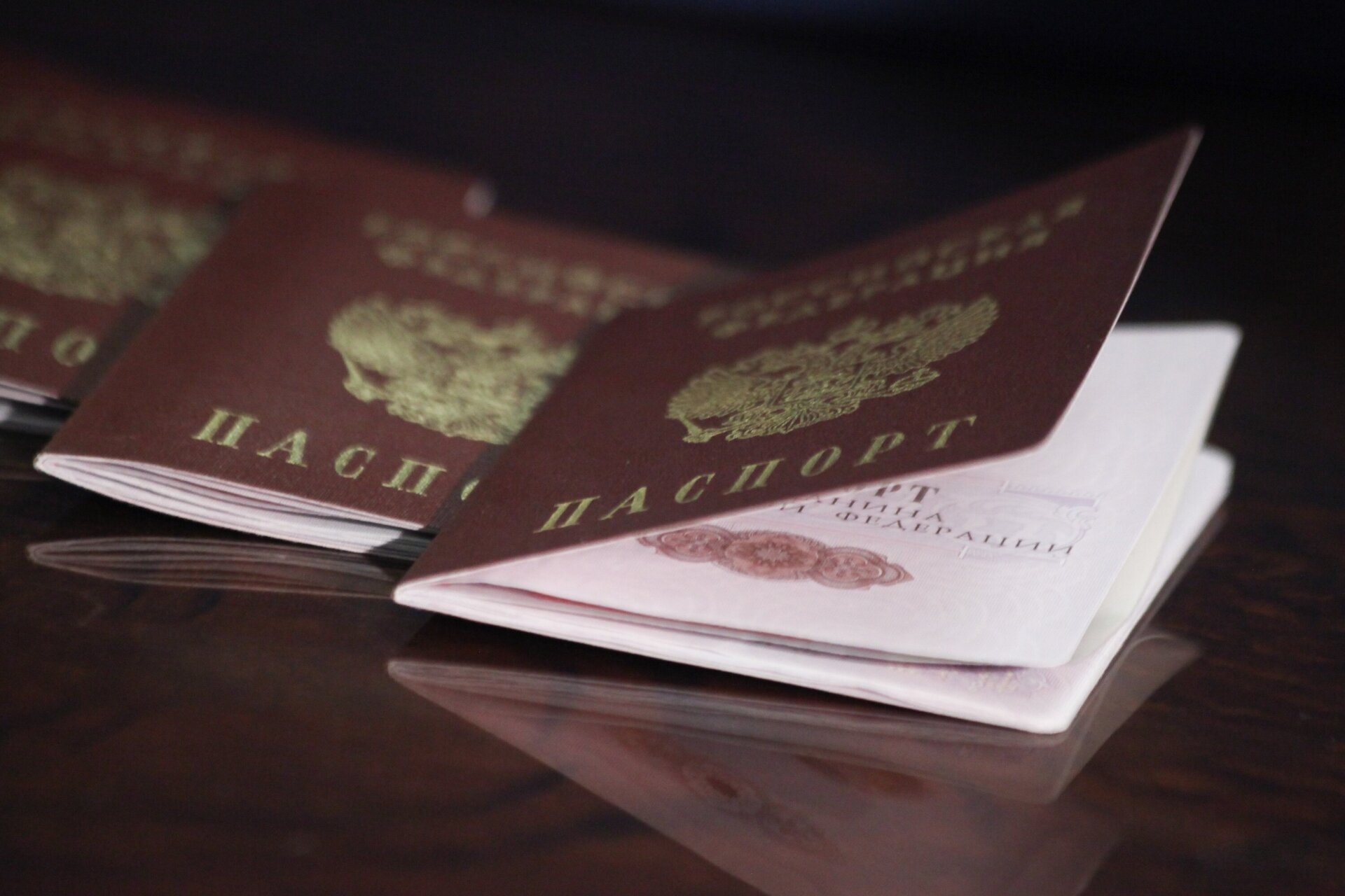 Путин подписал закон о прекращении гражданства Украины со дня подачи заявления в МВД
