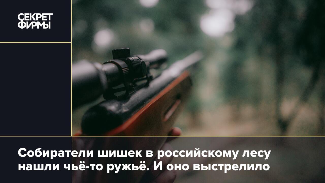 Собиратели шишек в российскому лесу нашли чьё-то ружьё. И оно выстрелило —  Секрет фирмы