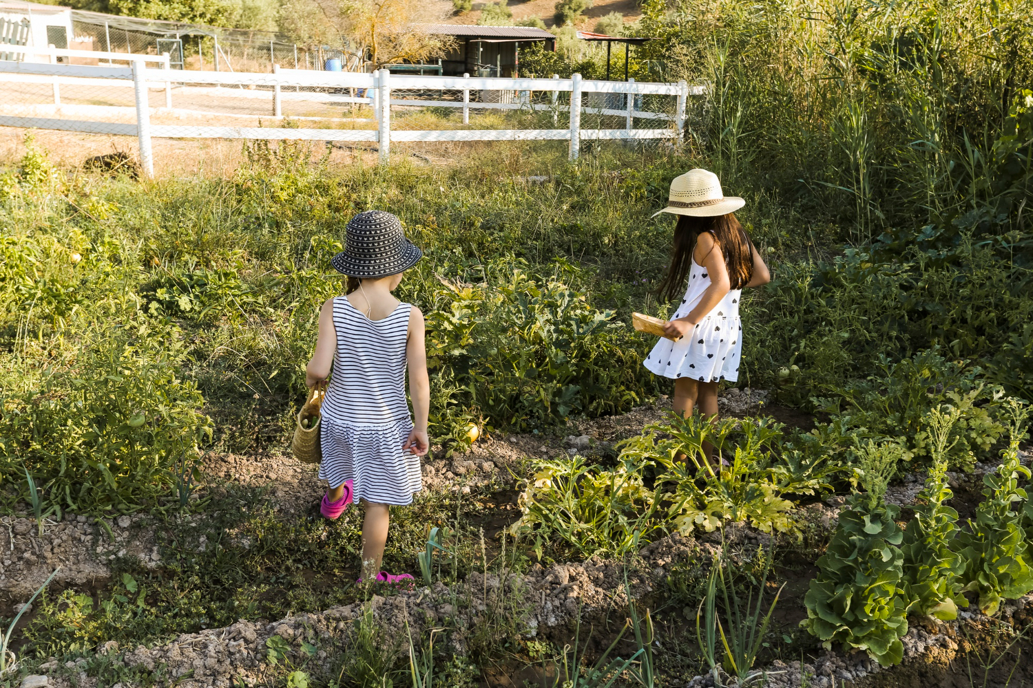 В МЧС посоветовали держать садовый инвентарь подальше от детей