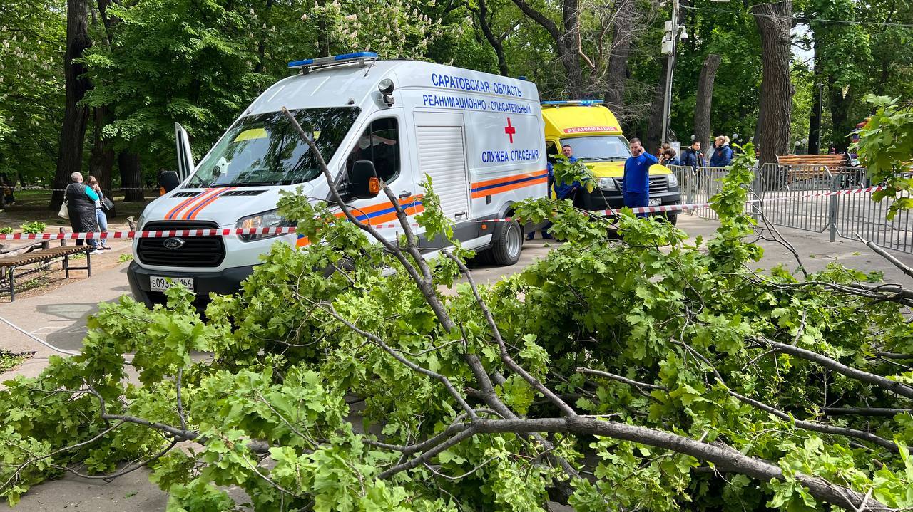 При падении дерева в парке Саратова погибли пожилая женщина и ребёнок