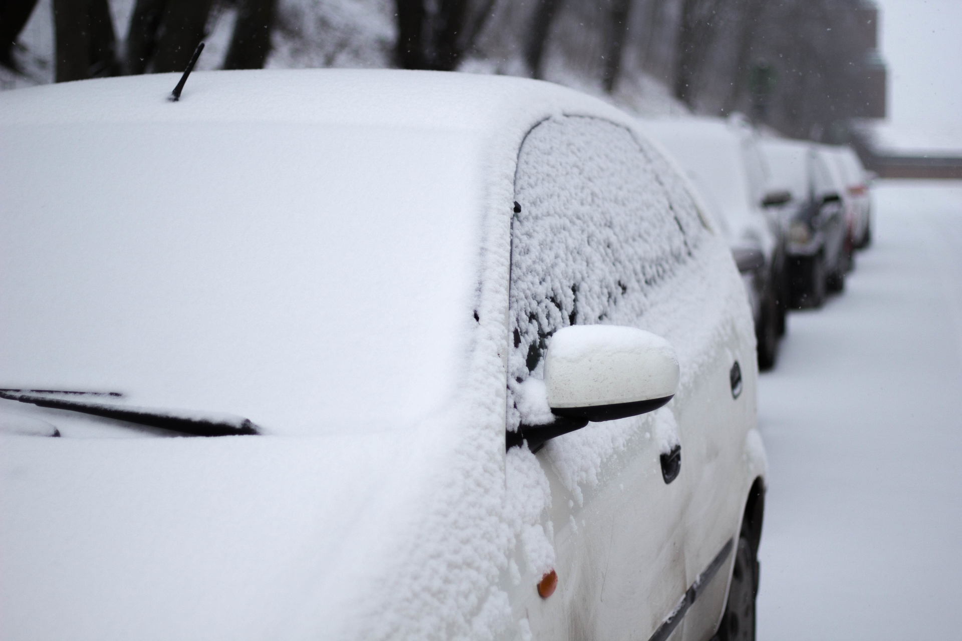 Жительницу Петербурга лишили водительских прав за снег на номере