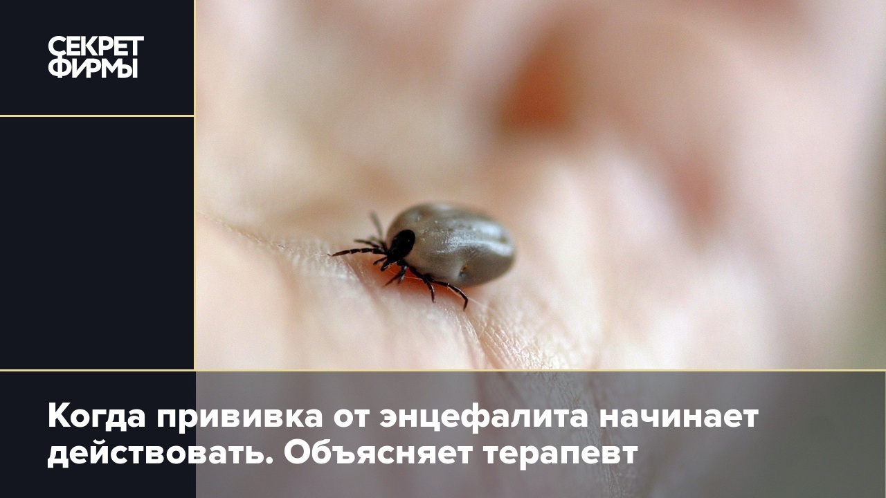 Памятки по КГЛ
