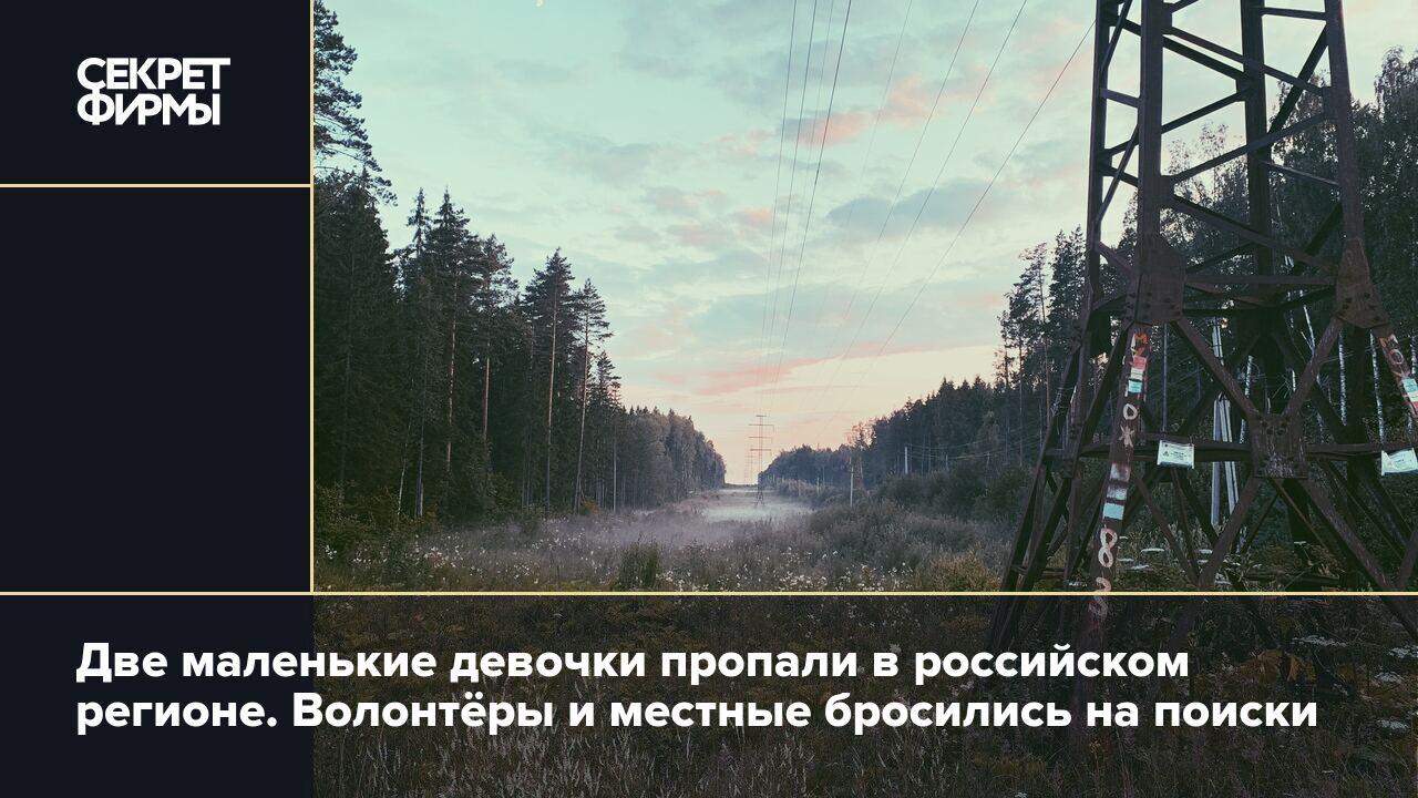 Две маленькие девочки пропали в российском регионе. Волонтёры и местные  бросились на поиски — Секрет фирмы