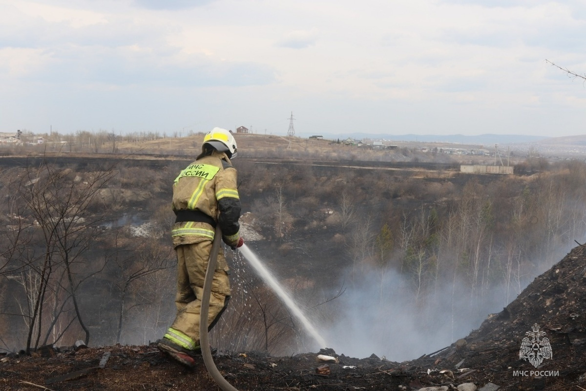 ТАСС: пожар из Алтайского края перешёл на территорию заповедника в Казахстане