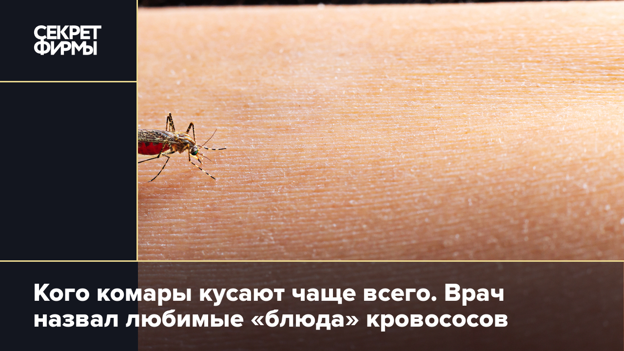 К чему снится что укусил ребенок. Какую кровь предпочитают комары. Какую группу крови не кусают комары.