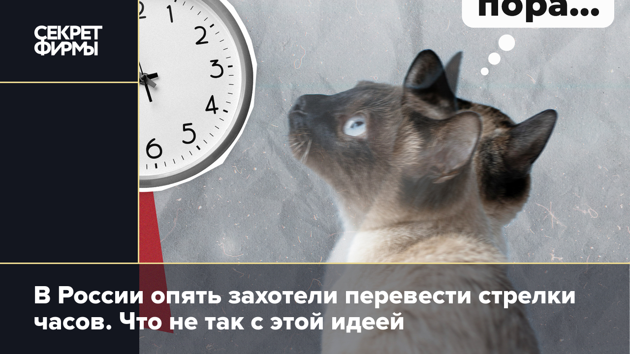 Переход на зимнее и летнее время: почему о нём опять говорят и что было  раньше — Секрет фирмы