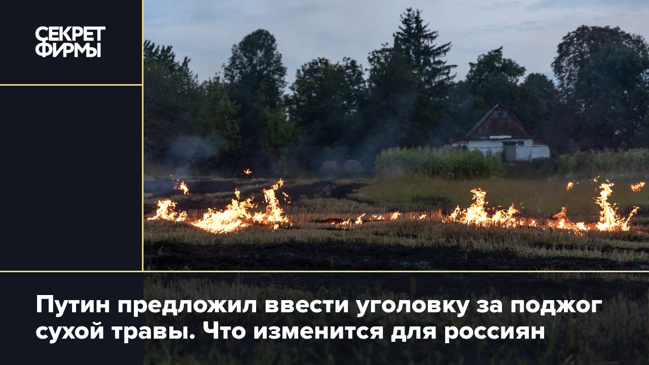 Путин предложил ввести уголовку за поджог сухой травы. Что изменится для  россиян — Секрет фирмы