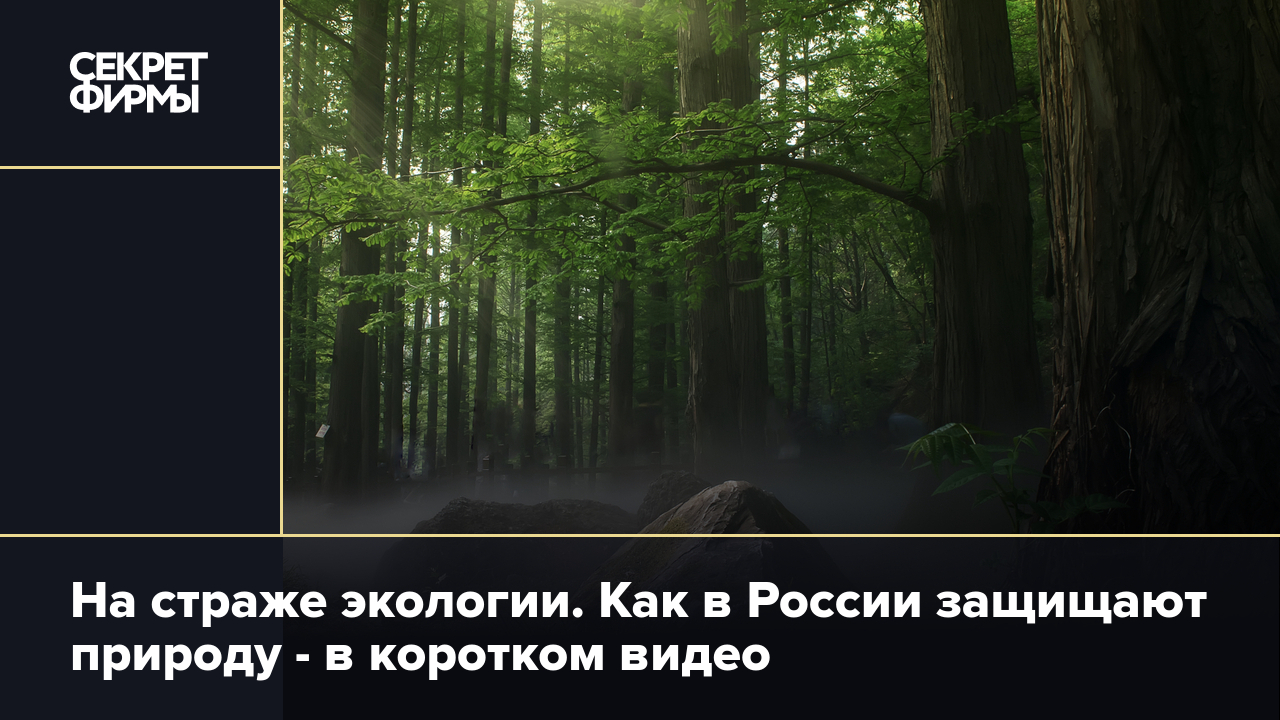 На страже экологии. Как в России защищают природу — в коротком видео —  Секрет фирмы