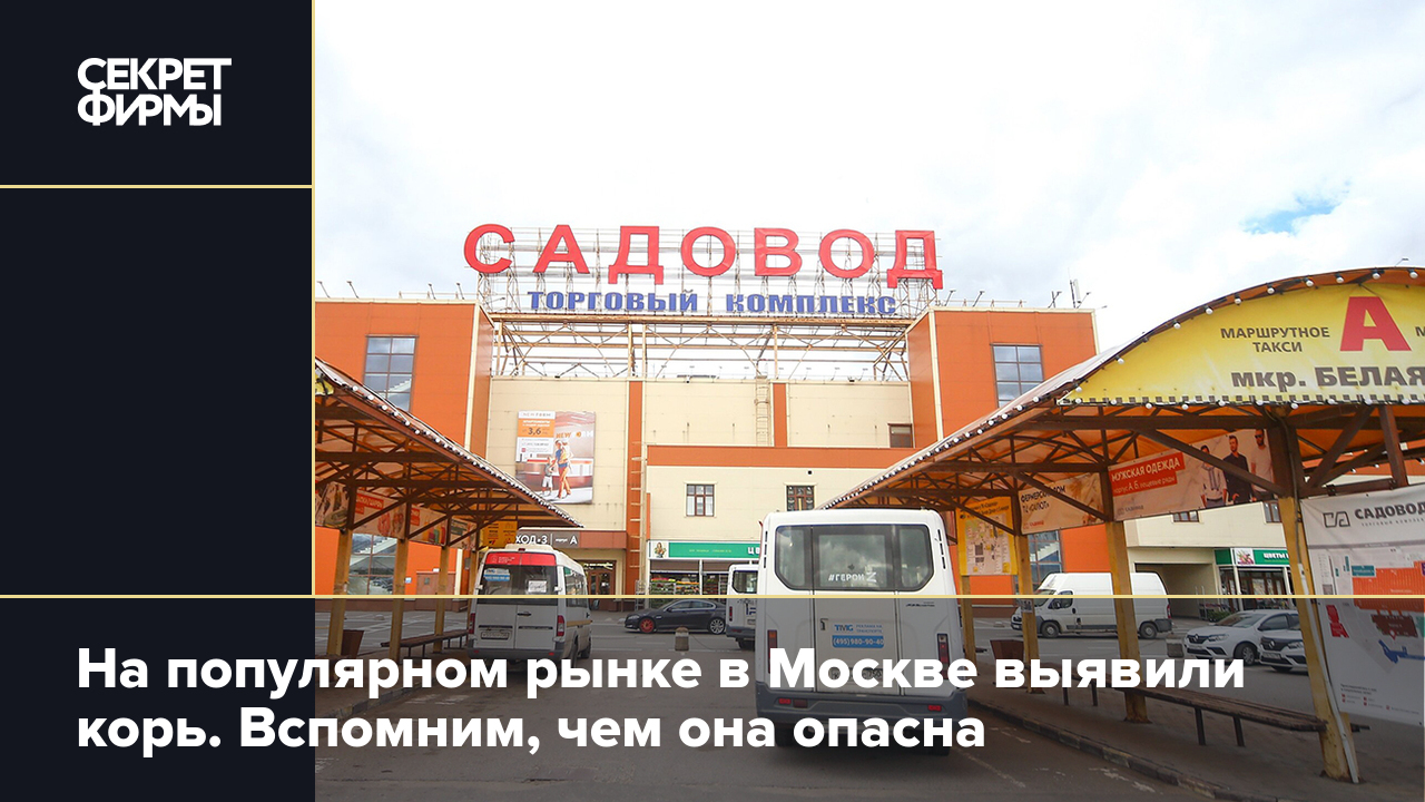 Корь на рынке «Садовод» в Москве: чем опасна болезнь — Секрет фирмы