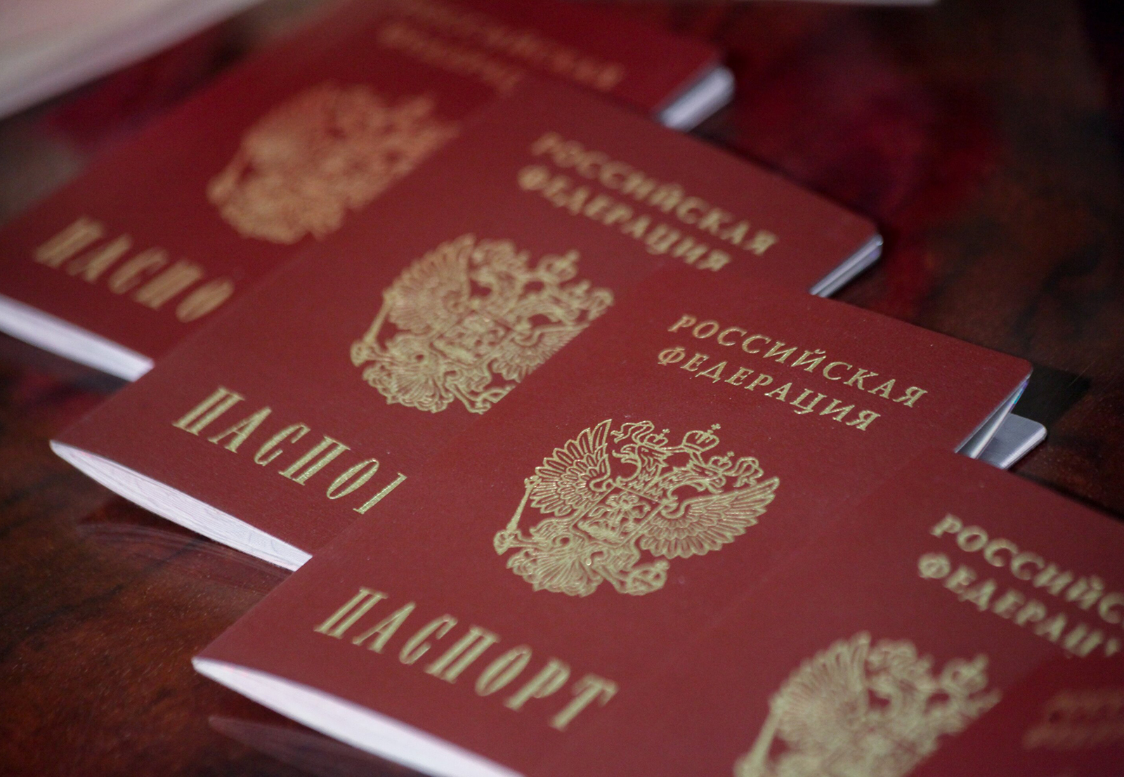 Потерял паспорт: что делать в России ии за границей, как восстановить, штраф за утерю | paraskevat.ru