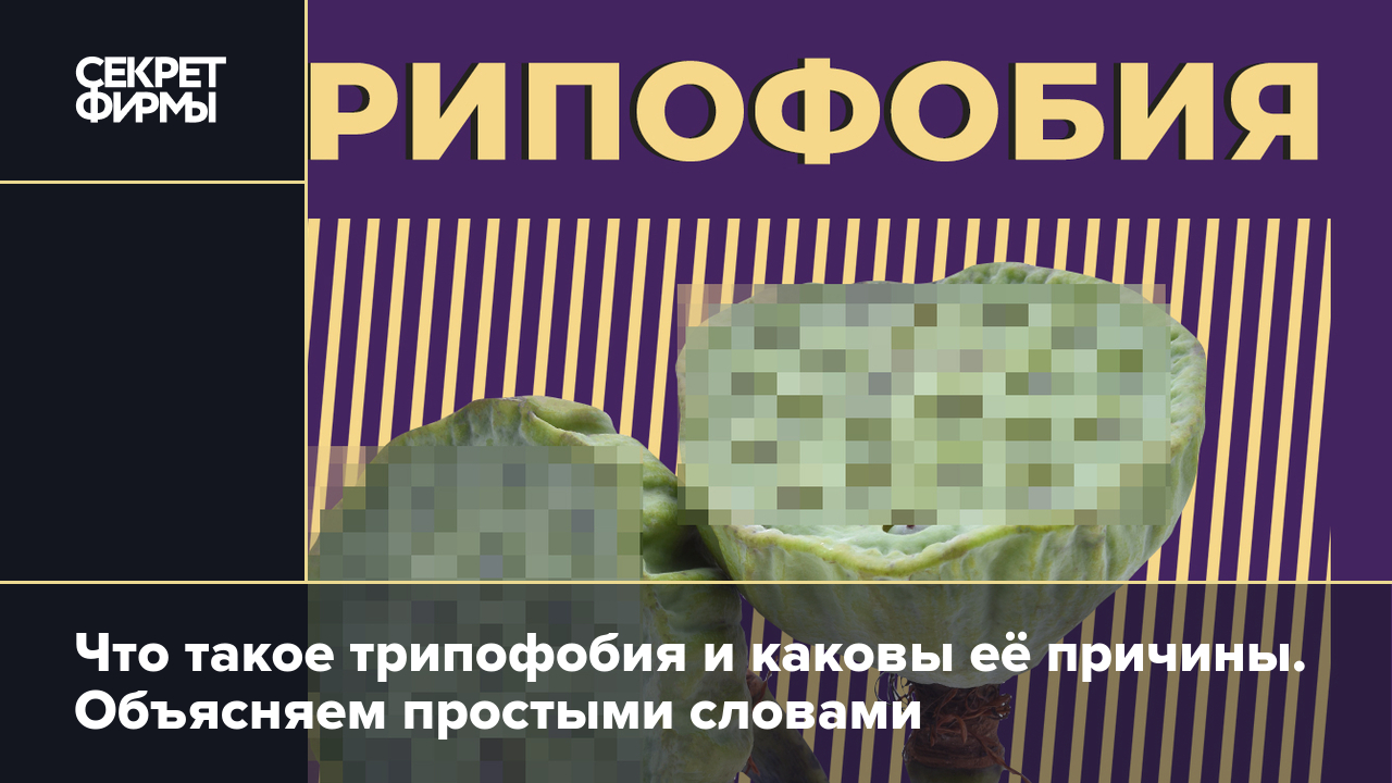 Трипофобия: что это такое, причины возникновения, симптомы и методы лечения  — Секрет фирмы