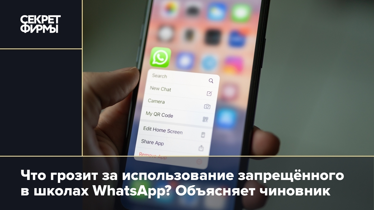 Что учителям будет за общение в WhatsApp — Секрет фирмы