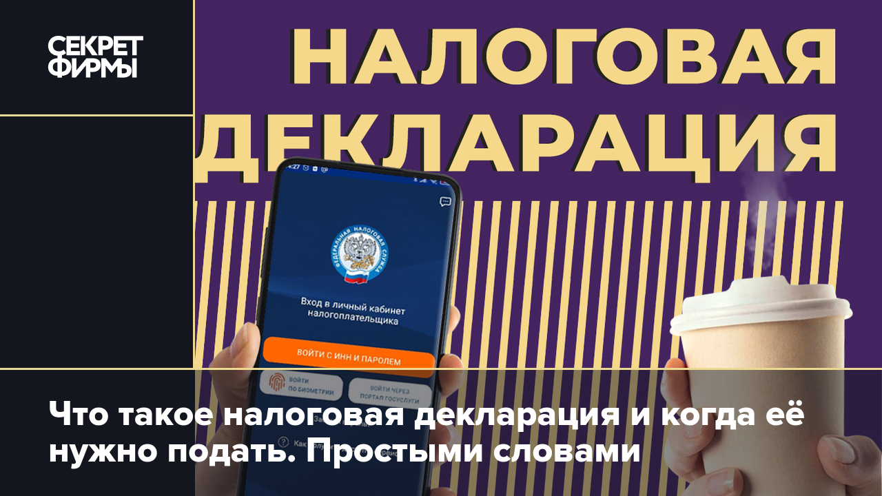 Налоговая декларация: что это такое, когда подают декларации по НДФЛ и НДС  и за что дают вычеты. Простыми словами — Секрет фирмы