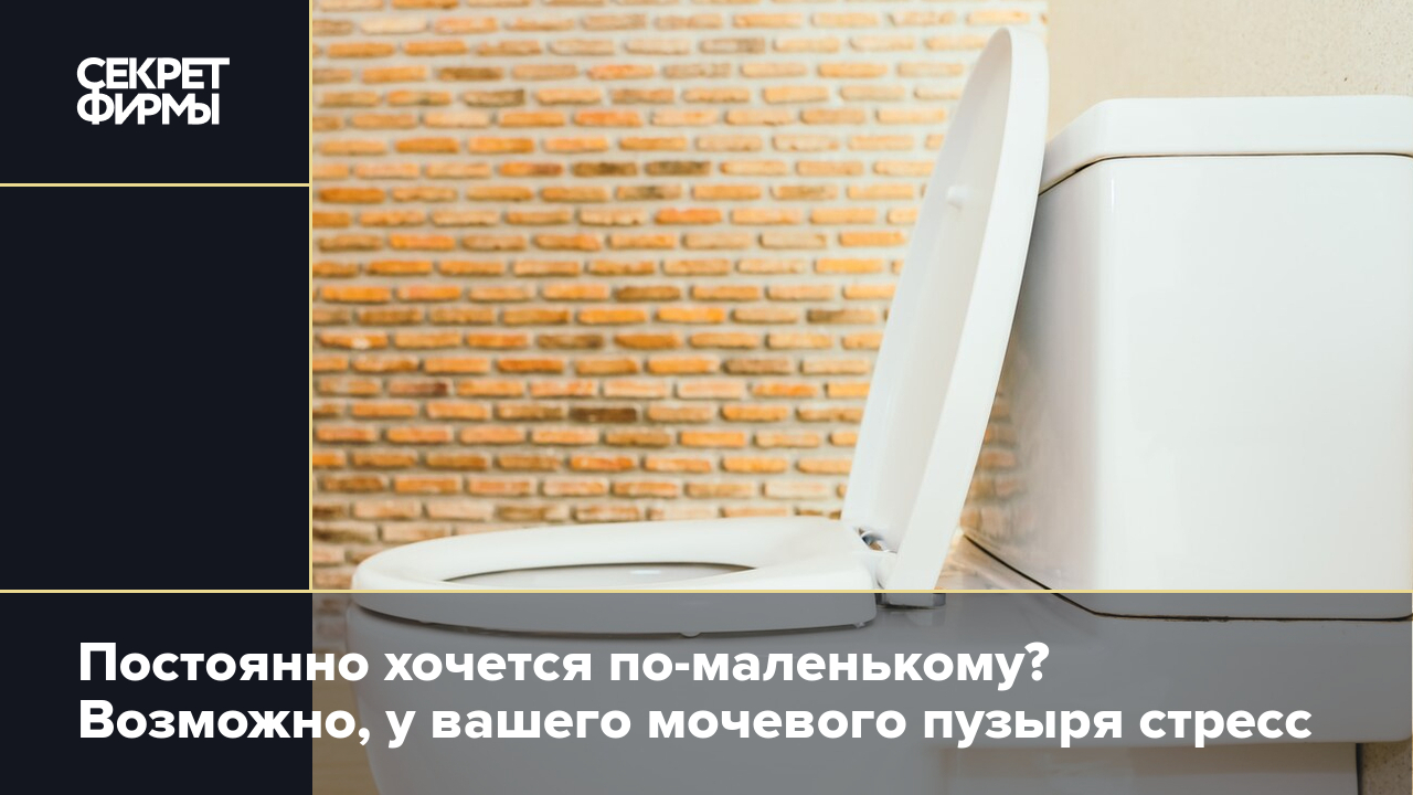 Почему часто хочется в туалет по-маленькому: врач назвал причины  стрессового недержания — Секрет фирмы