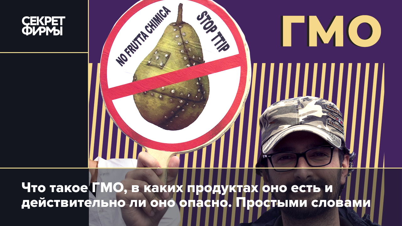 ГМО: что такое генетически модифицированные продукты, в каких продуктах  есть ГМО и надо ли их бояться — Секрет фирмы