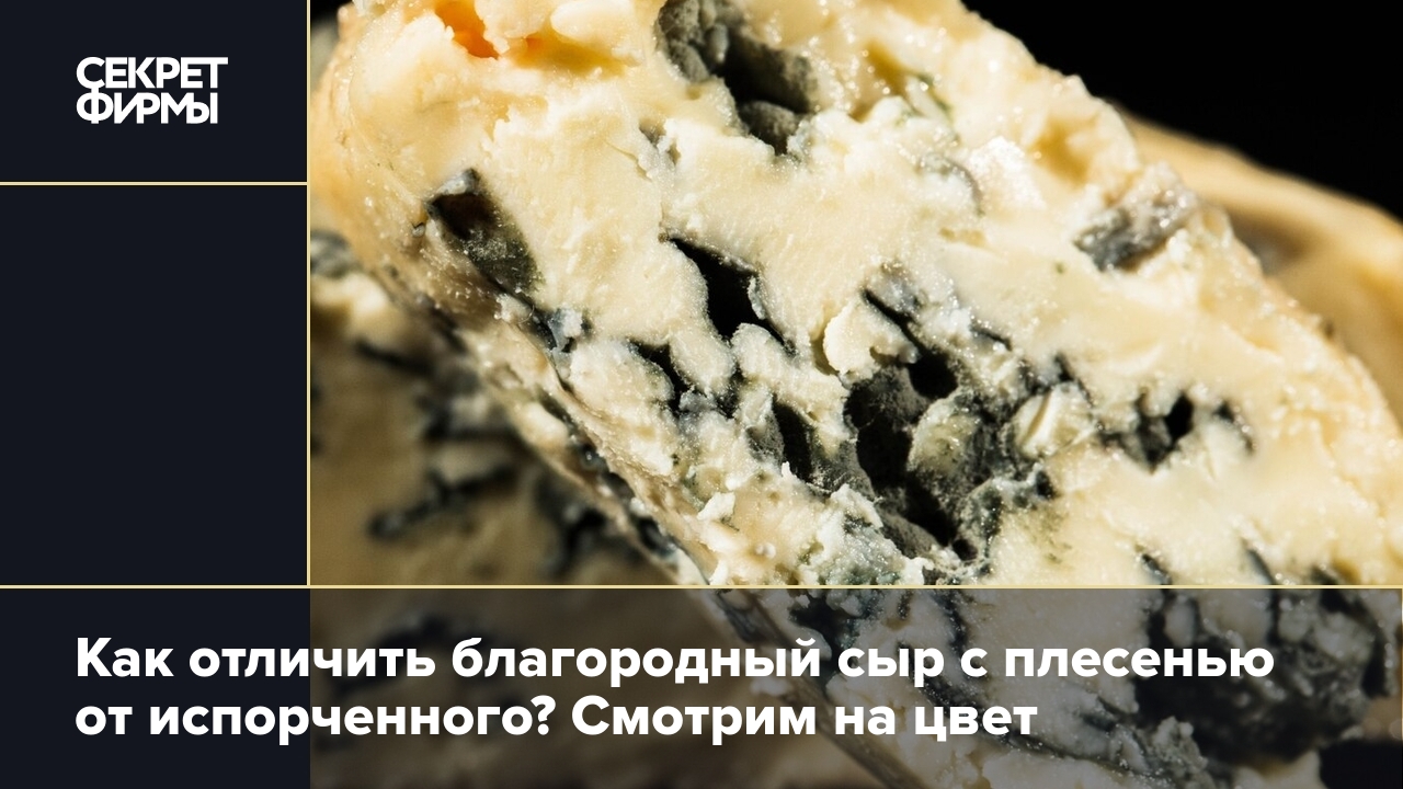 Как отличить благородный сыр с плесенью от испорченного: объяснила врач —  Секрет фирмы