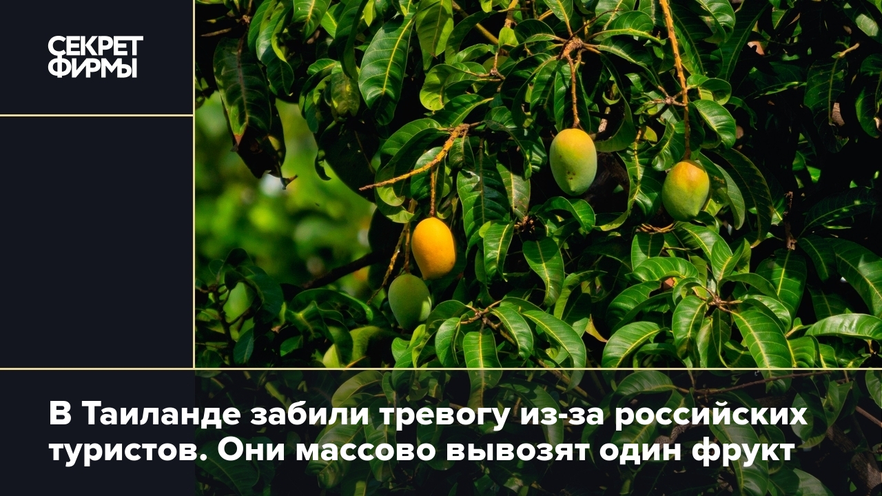 Особенно в этом плане выделяются россияне, которых стали замечать в аэропор...