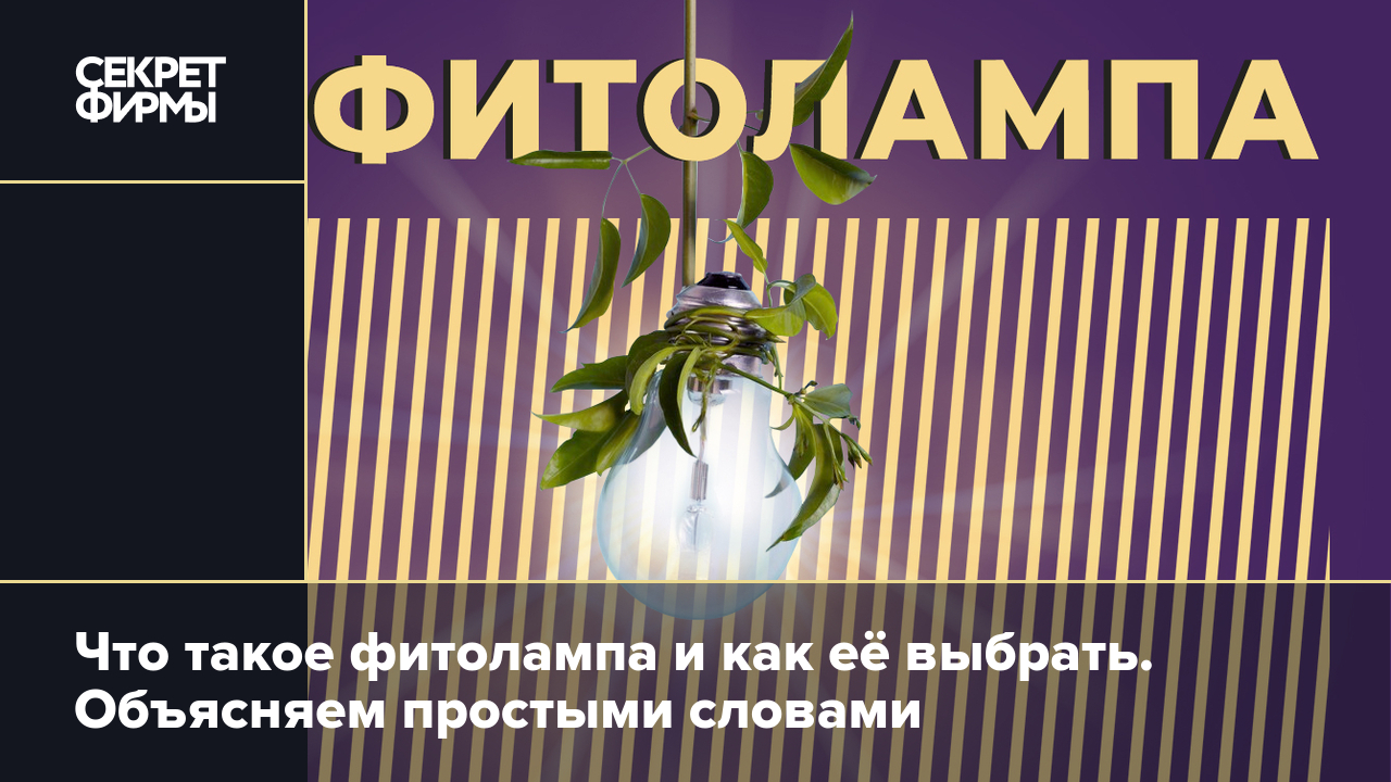 Что такое фитолампа и как её выбрать. Объясняем простыми словами — Секрет  фирмы