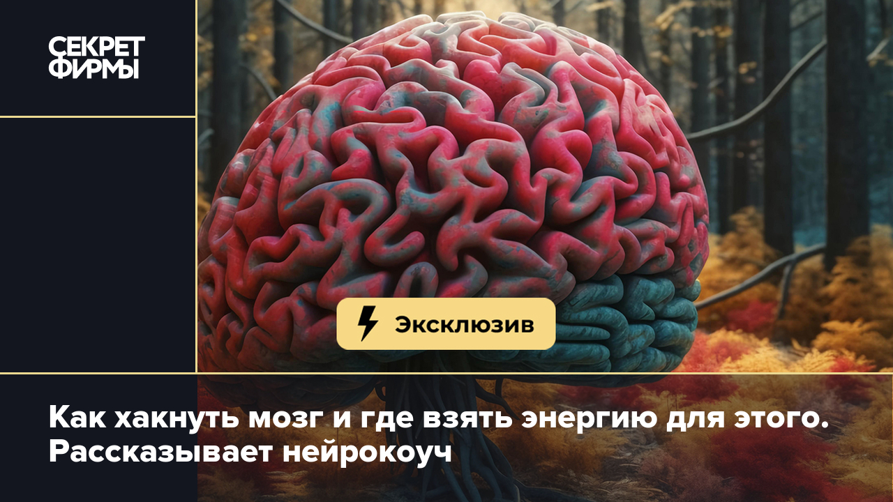 Как хакнуть мозг и где взять энергию для этого. Рассказывает нейрокоуч —  Секрет фирмы