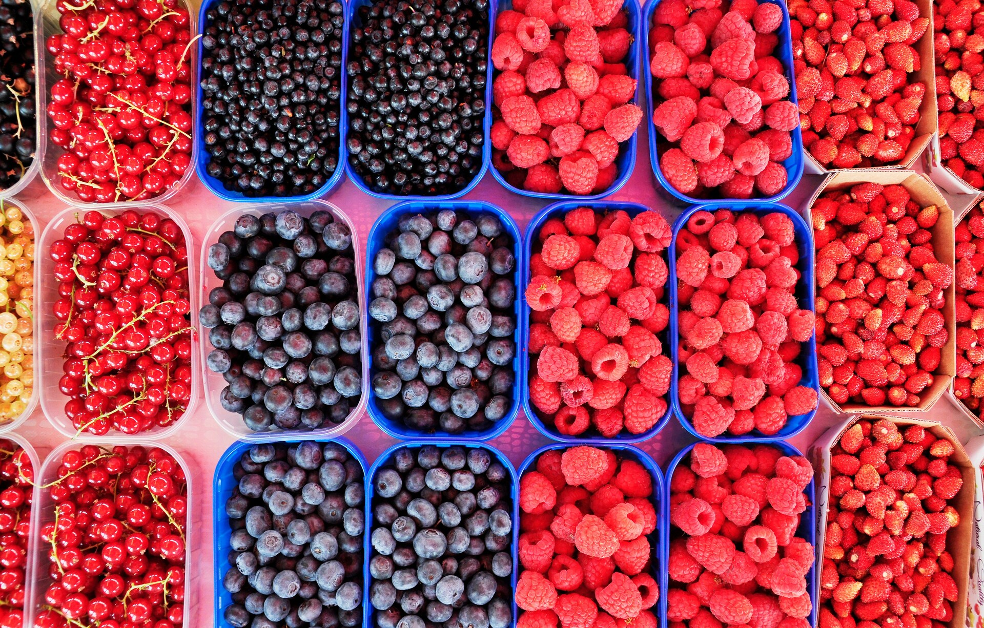 Эксперт Козий: ягоды и все производные от них продукты могут подорожать до 50%