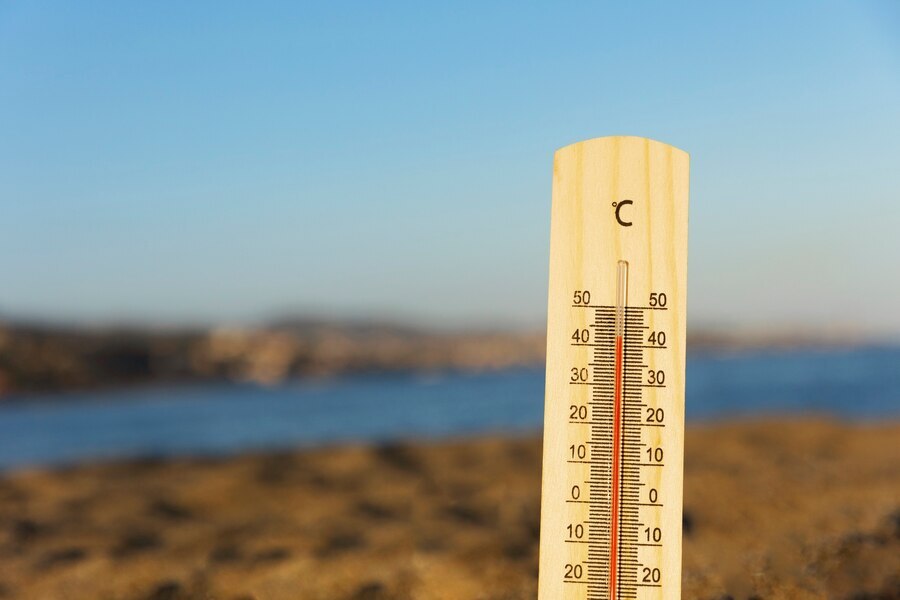 Синоптик Вильфанд: жара выше 40 градусов будет в Волгоградской области