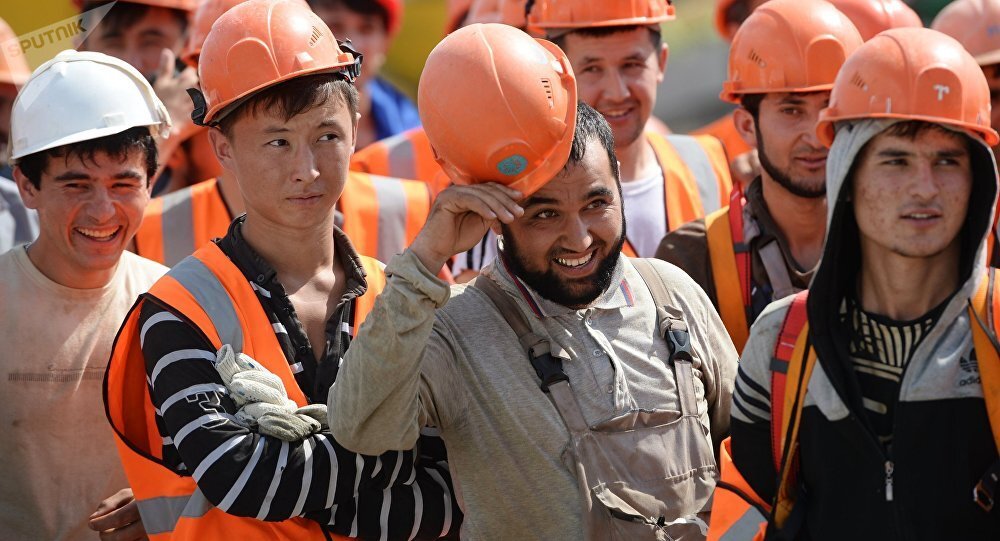 С 1 ноября 2024 года мигрантам в Томской области запретят работать в 6 сферах