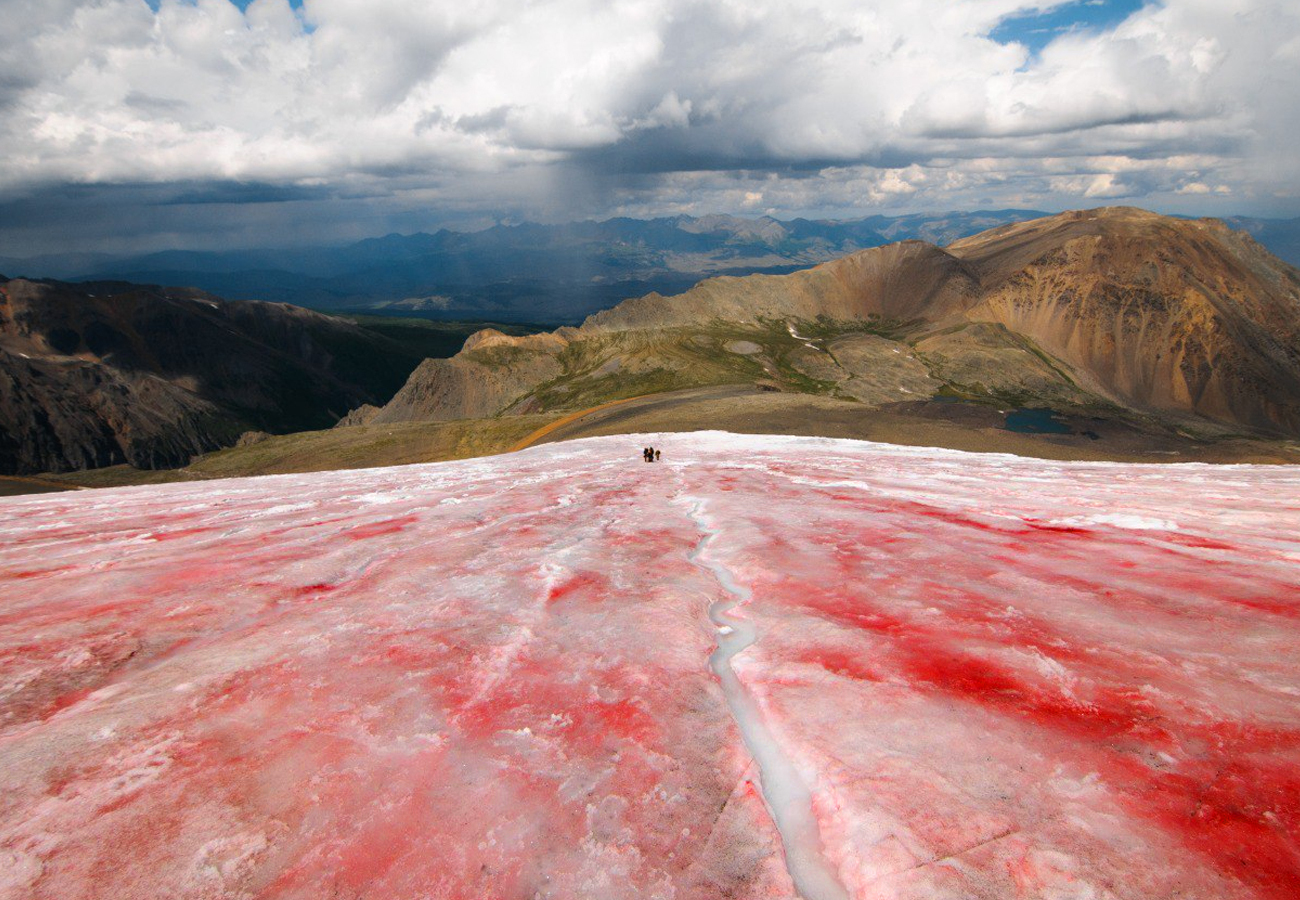 Ледник Водопадный на Горном Алтае стал кроваво-красным из-за цветения водорослей