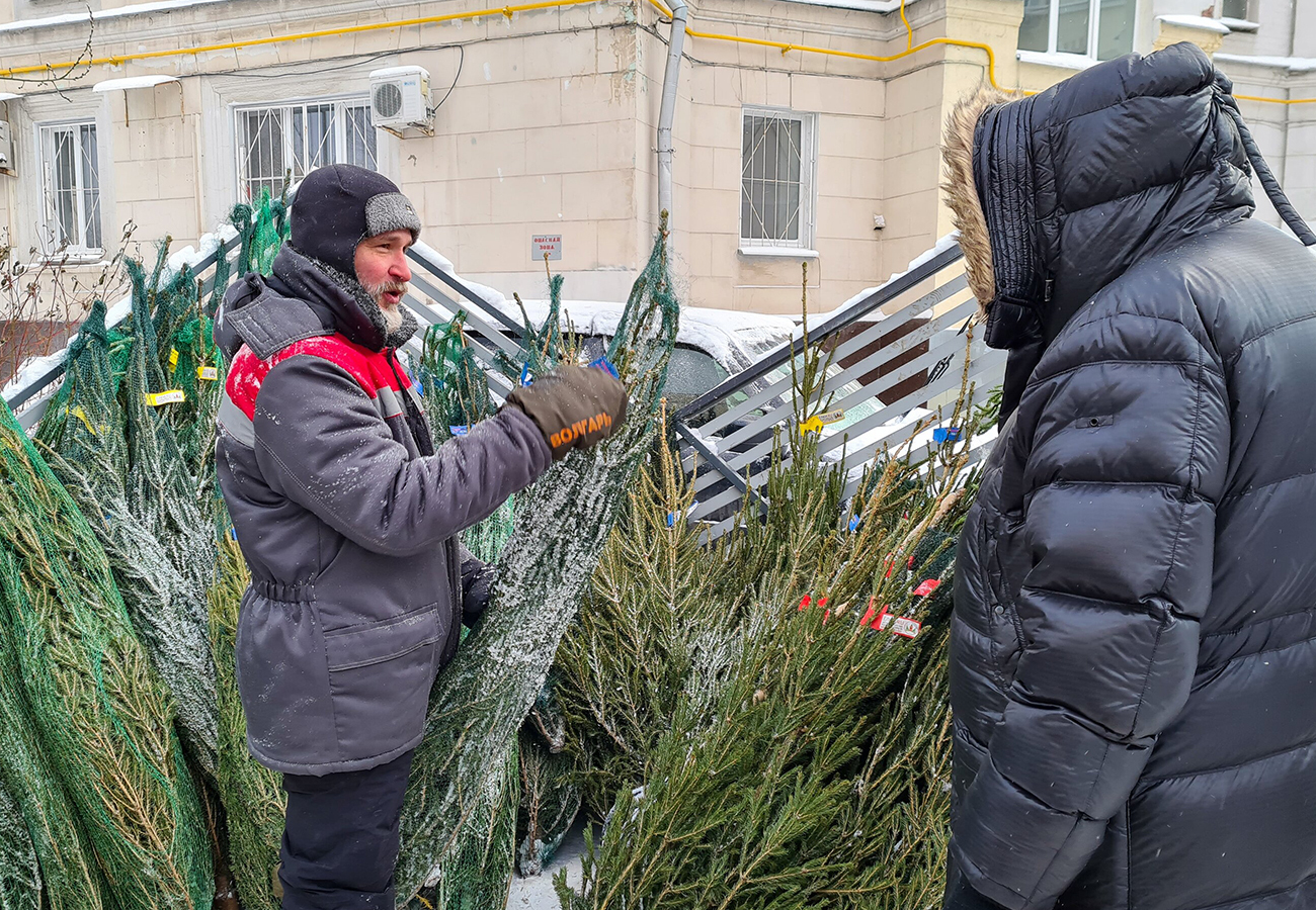 Парламентская газета: живые ёлки к Новому году подорожают на 1020%