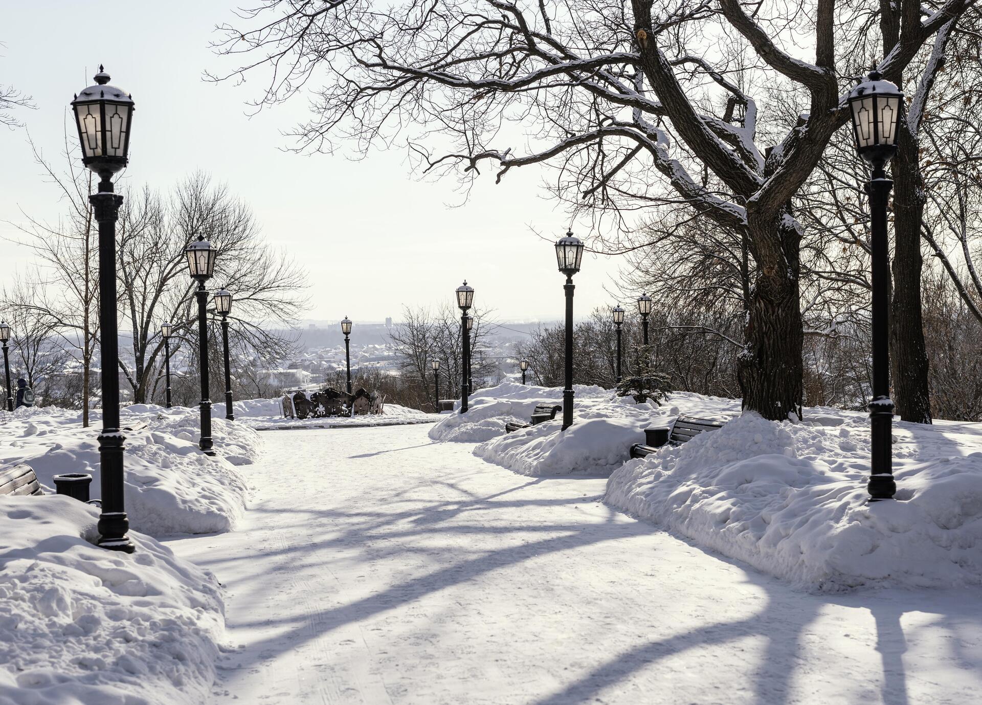 Самый короткий световой день в 2024 году выпадает на 21 декабря. Сколько часов он продлится