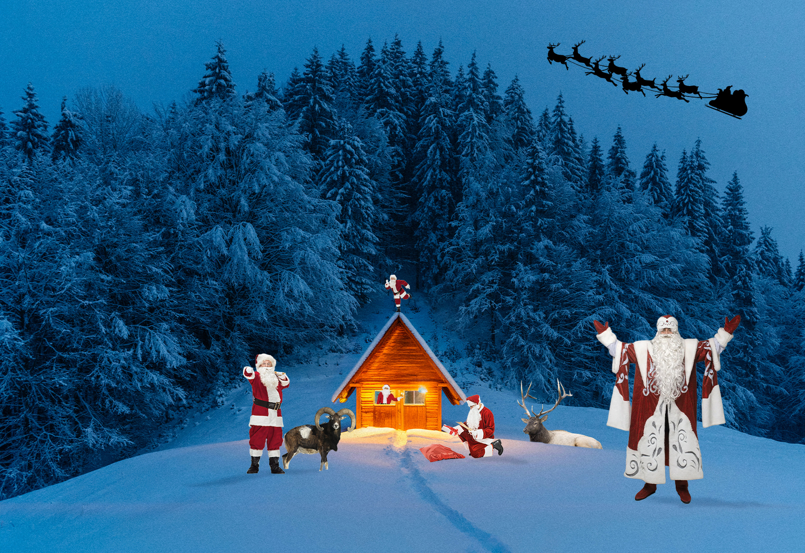 Не дарят подарки и разносят уголь. Какие Деды Морозы исполняют мечты детей и как они выглядят