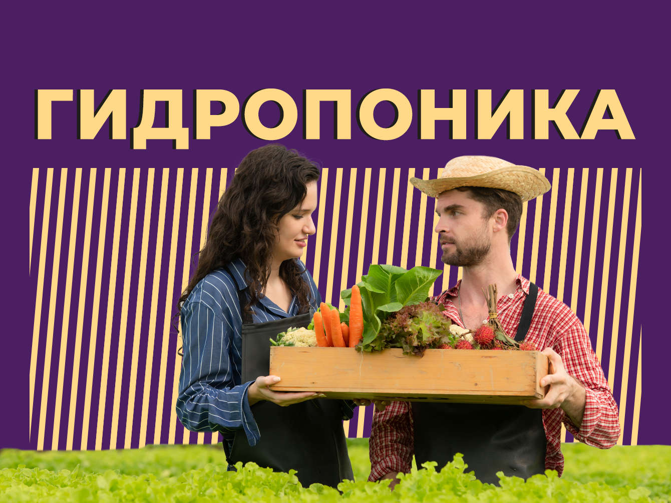 Что такое гидропоника и что с ней можно вырастить дома. Объясняем простыми словами