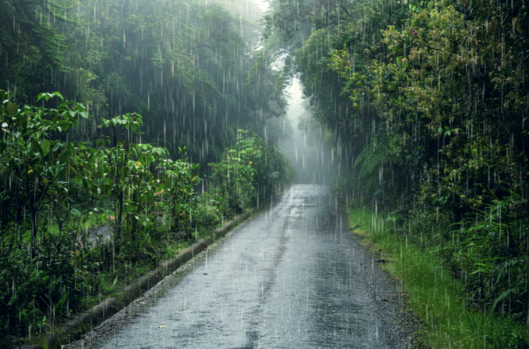 Москвичей предупредили о ливнях с градом и сильном ветре 8 июля