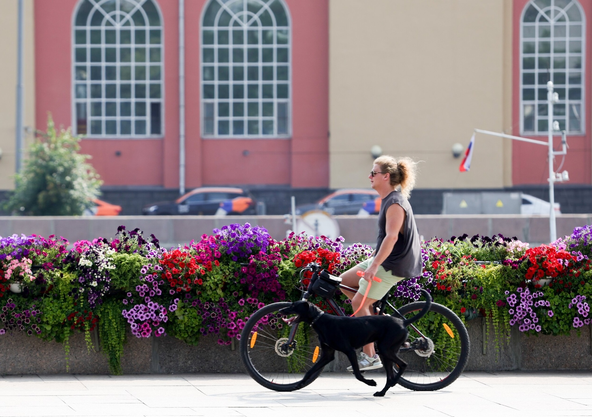 Синоптик Позднякова сообщила о скором похолодании в Москве