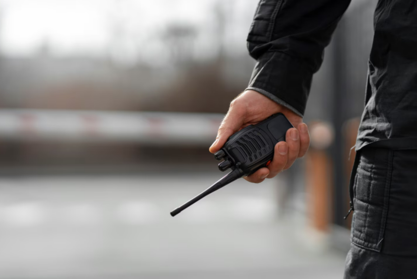 Уроженца Омска убили во время сожжения чучела на фестивале в США