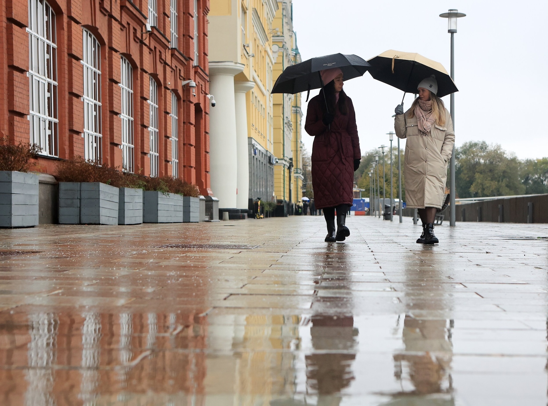 Синоптик Цыганков предупредил москвичей о дождливой погоде на следующей неделе