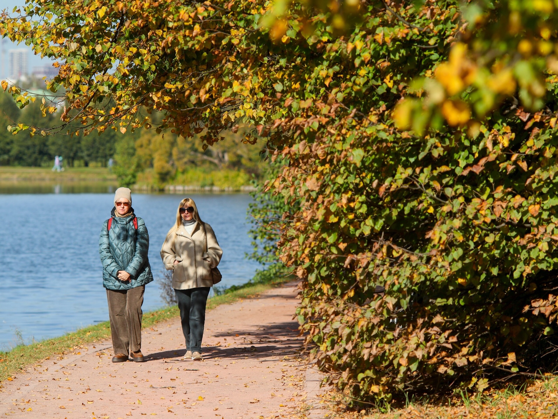 Синоптик Шувалов: в Москве может потеплеть к концу нынешней недели