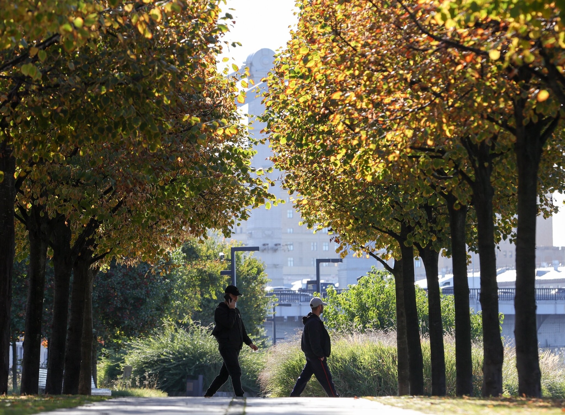 Почему российским женщинам нравятся мужчины с животиком Объяснила сексолог