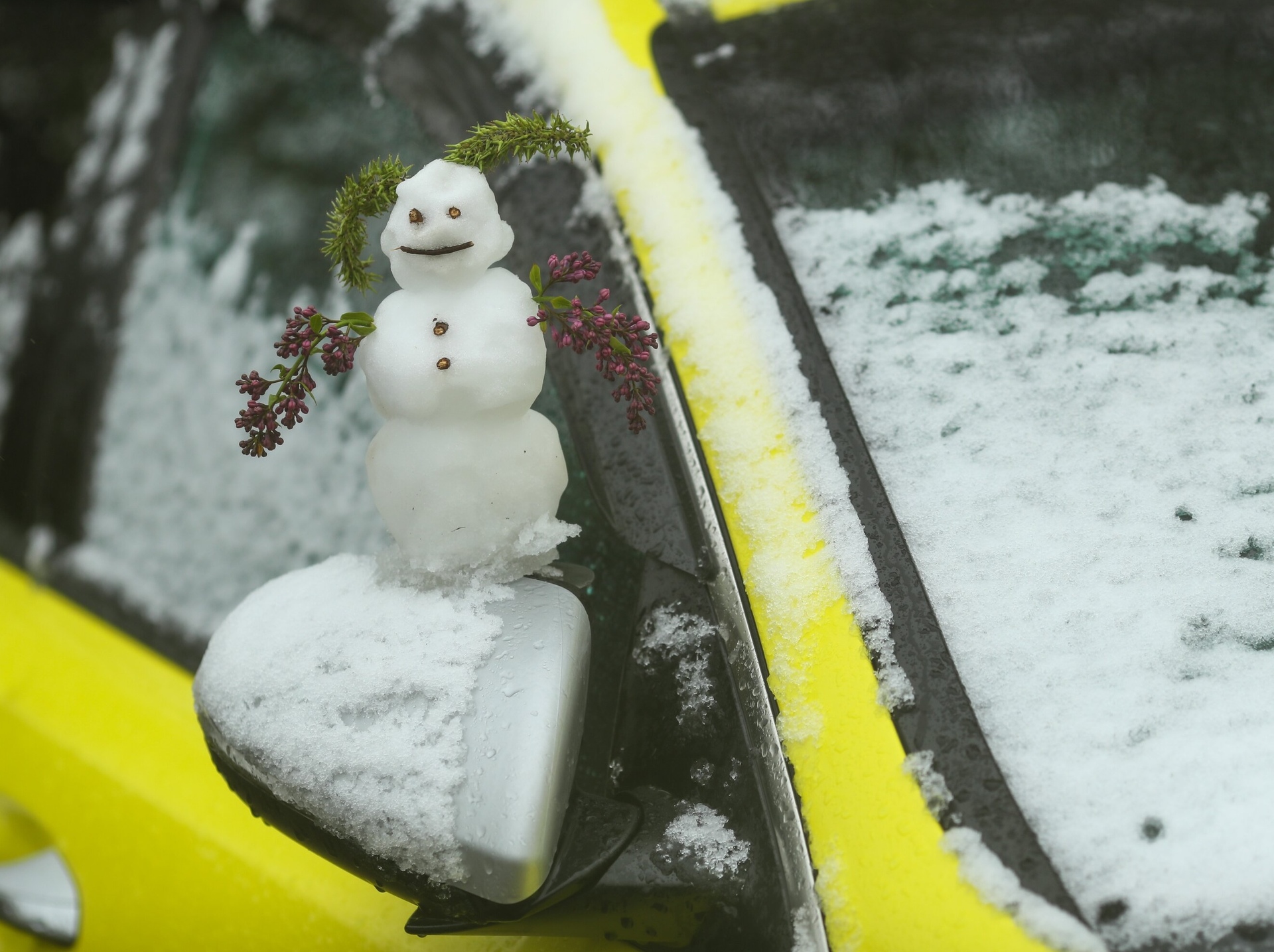 На шаг ближе к зиме. Москвичам пообещали снег и заморозки совсем скоро