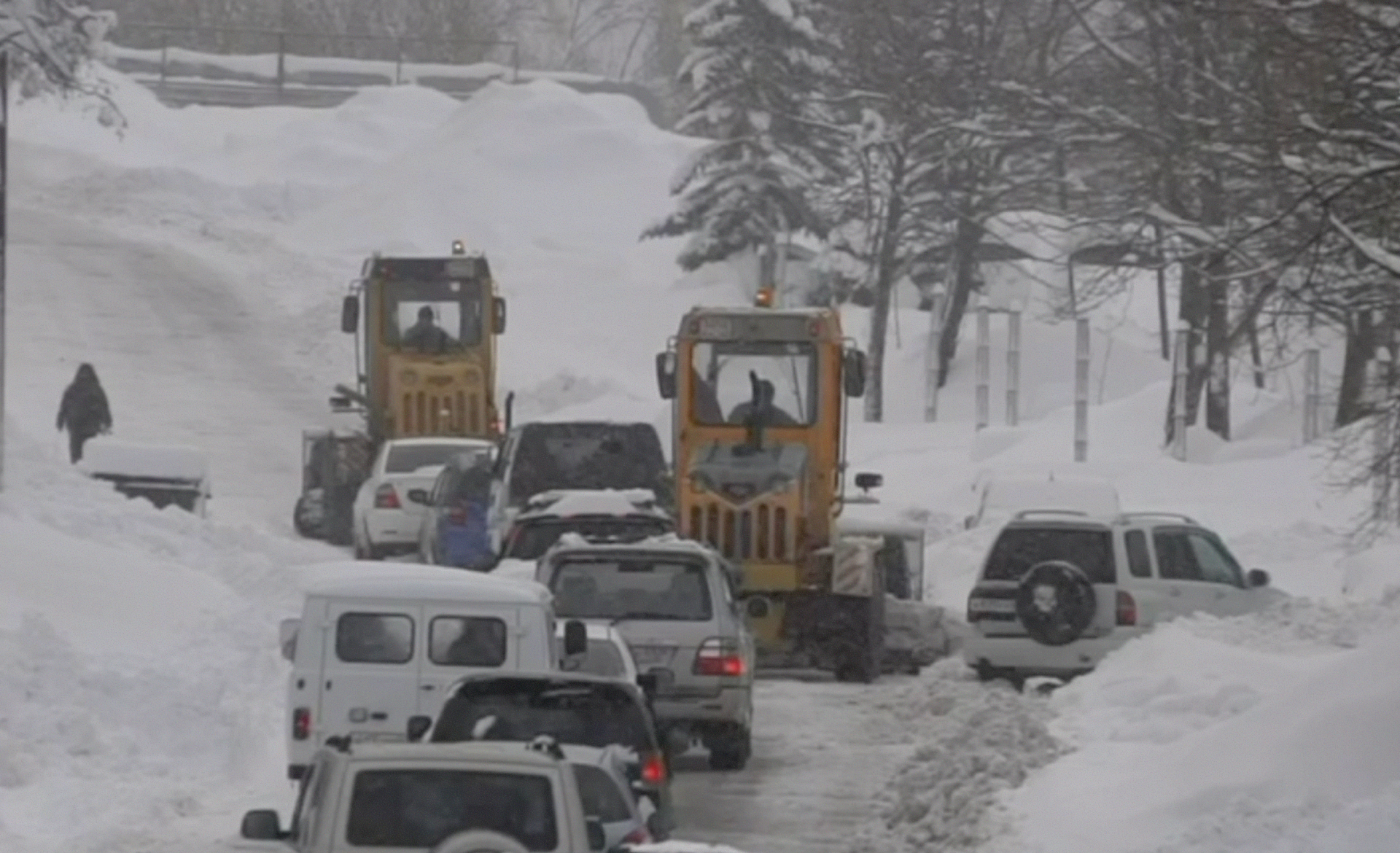 Жителей российского региона отправили на дистанционку из-за снежного шторма. Подробности
