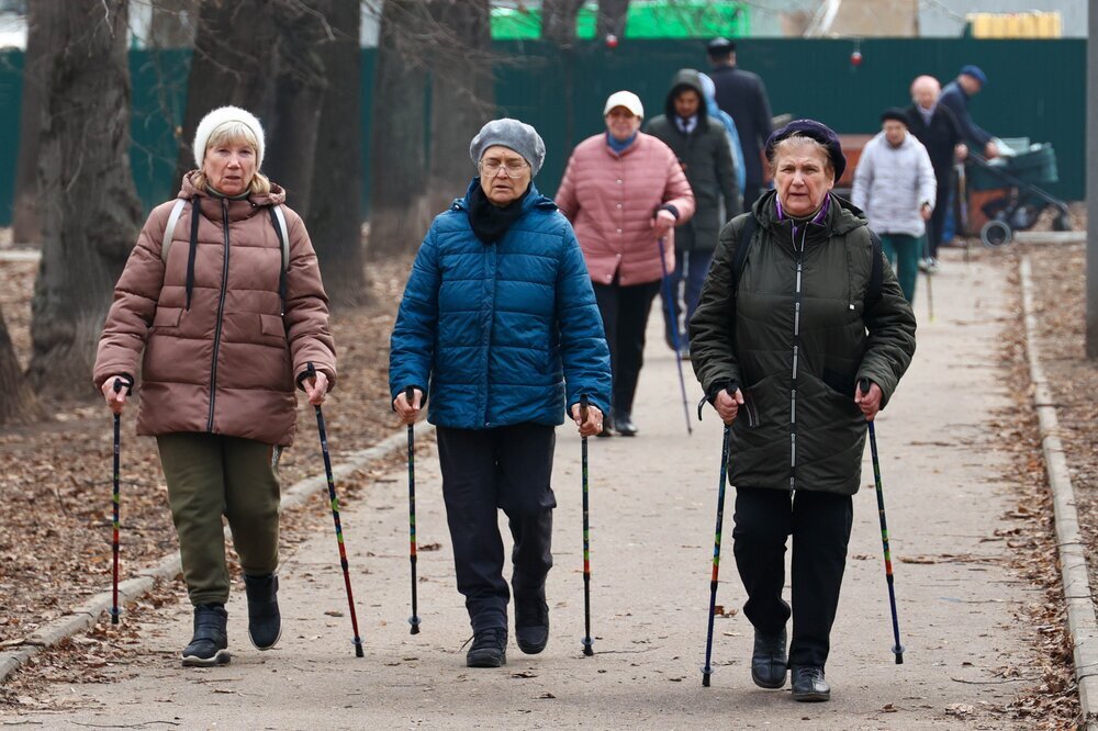 Россиян без трудового стажа предложили оставить без пенсии. Главное