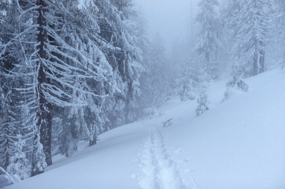 ТАСС: в Якутии обнаружили три самых холодных места на Земле