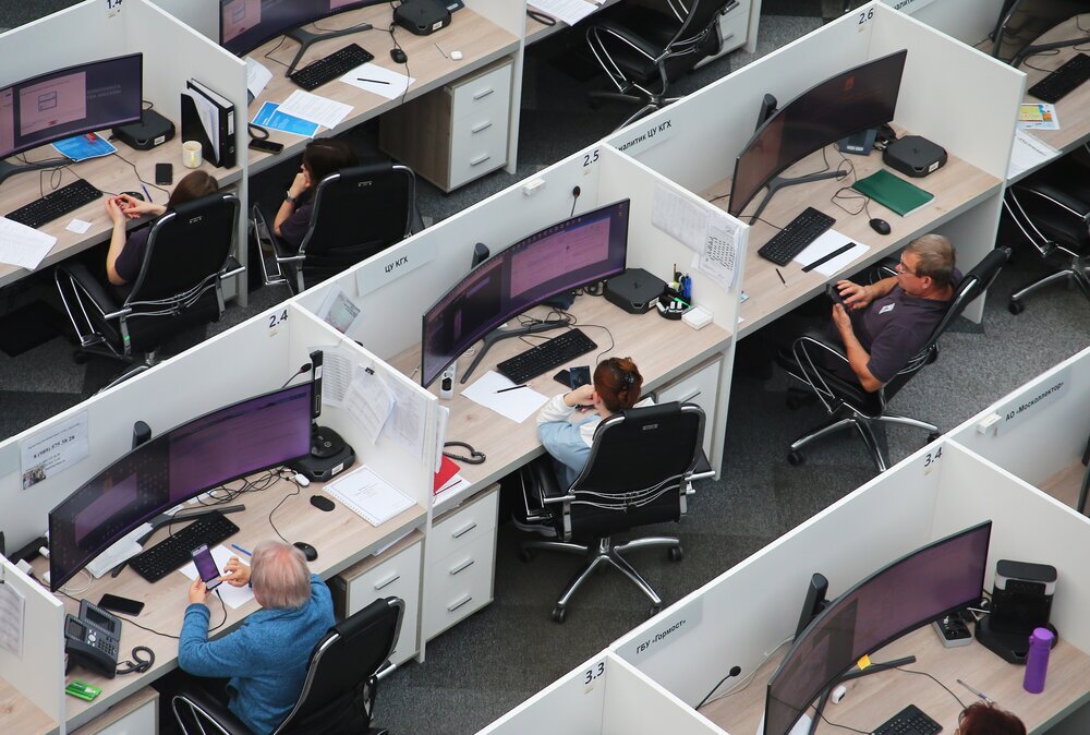 Самые востребованные вакансии. Куда рвались работать россияне в 2025 году