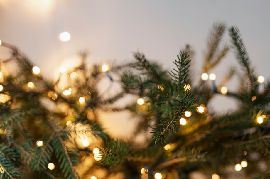 Декоратор Шуть: некоторые китайские гирлянды могут стать причиной пожара в доме