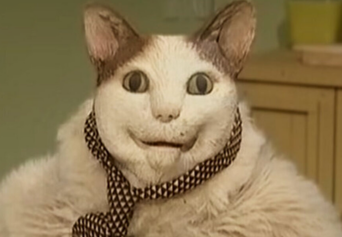 48c1d3b8d9c23685cbf48cc3883de9f2a46a66b4.png
