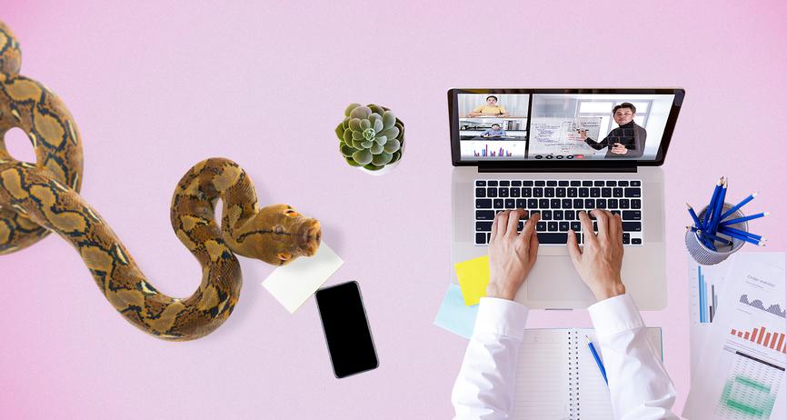 https secretmag ru label aliexpress